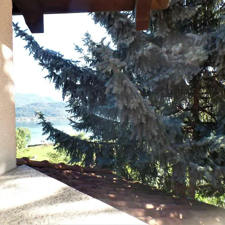 Isabel * באוונו
